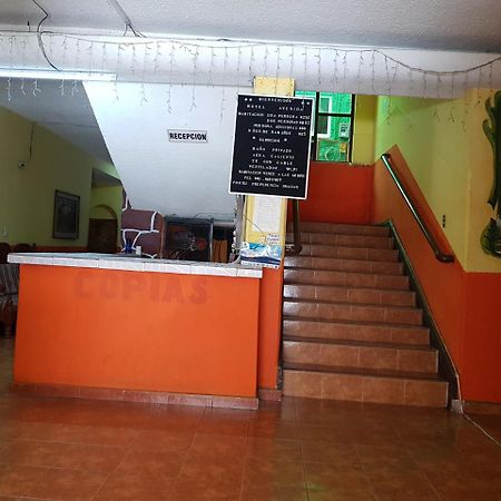 Hotel Avenida Тустла-Гутьеррес Экстерьер фото